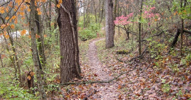 Rhett Walters Memorial Mountain Bike Trail 1