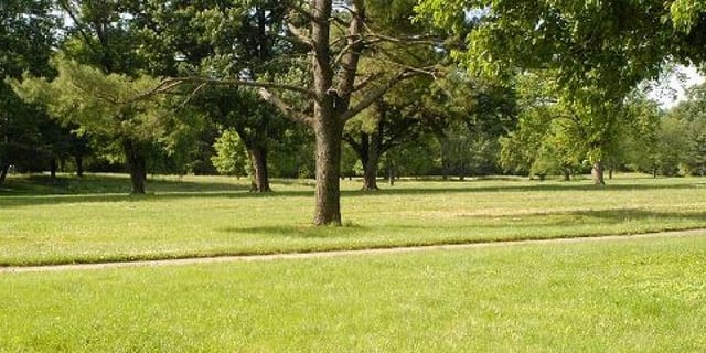 louisville champions park