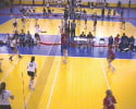 Palos-Courts