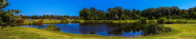 Central Park2 .jpg