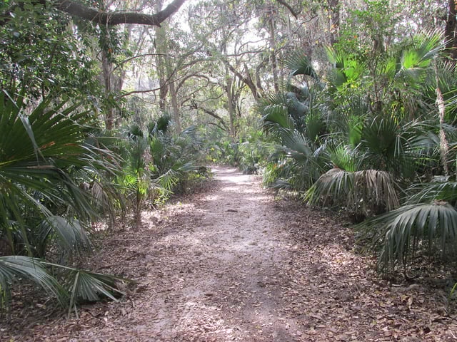 Gemini Springs Park3