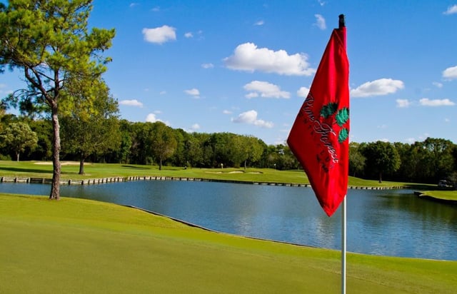 pine forest golf club 6