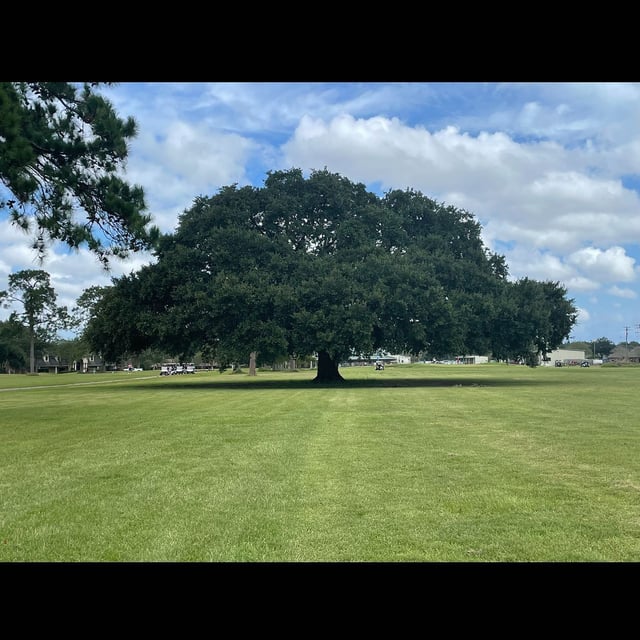 golf2.jpg