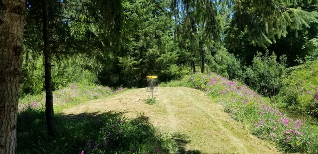 Cottage Grove Disc Golf