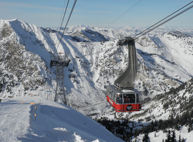 Snowbird  2