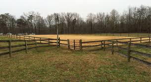 Lucky Cricket Farm fenced in horse area