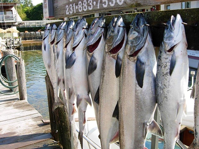 Leland Harbor