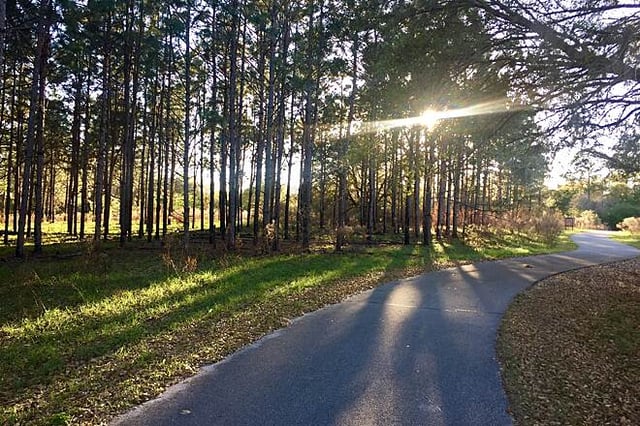 Gainesville - Hawthorne Trail State Park