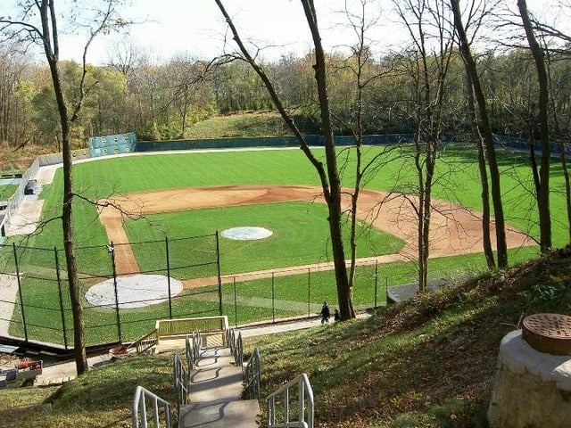 Frank Damian Field2