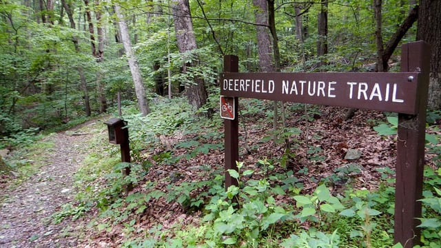 Deerfield Nature Park 4