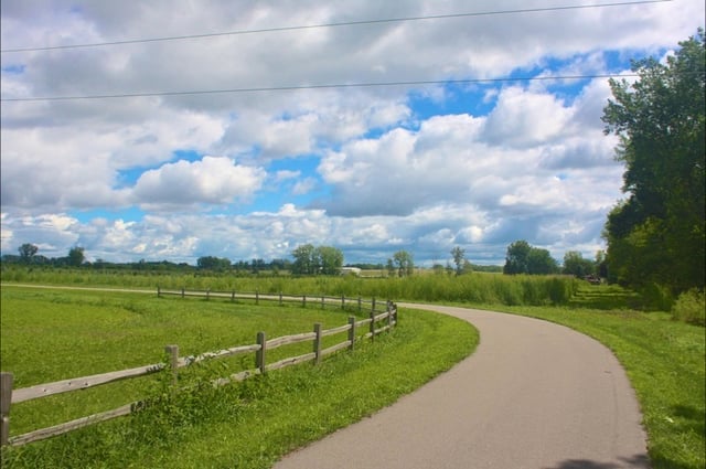 AnyConv.com__Thomas 5