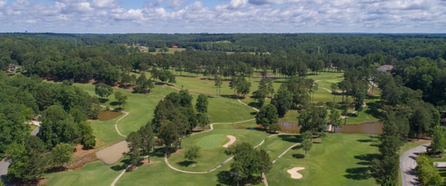 Terri Pines 1