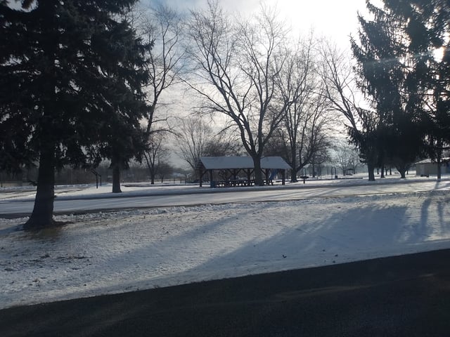 Dogwood Park2