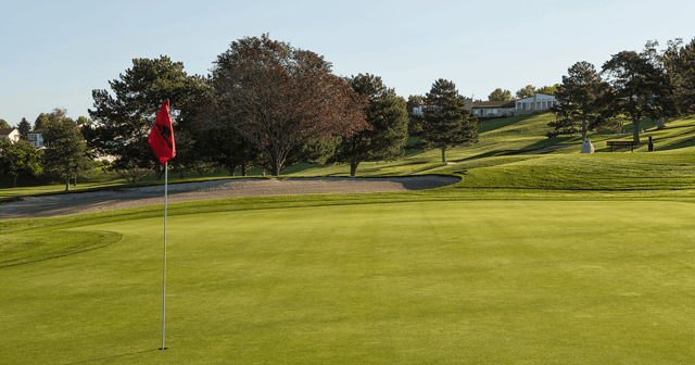 Meadow Springs Country Club - Golf1