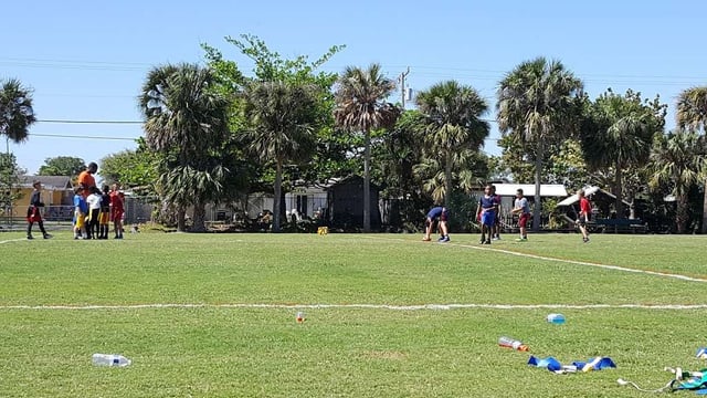 Seminole Palms Park 2