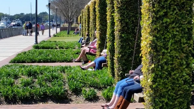 Henry C. Chambers Waterfront Park - Swing