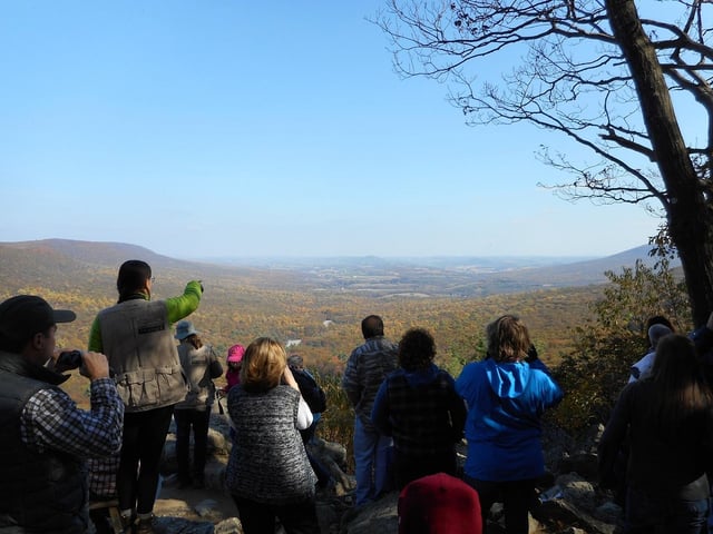 Hawk Mountain9