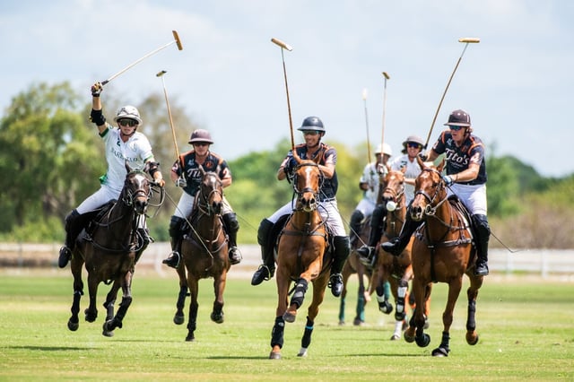 Sarasota Polo Club3