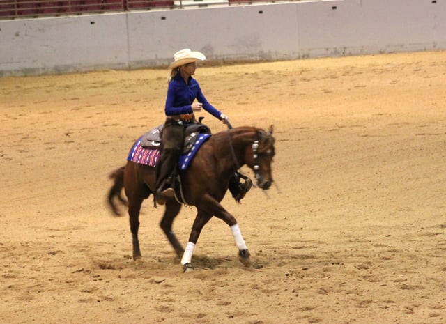 Equestrian Center 4
