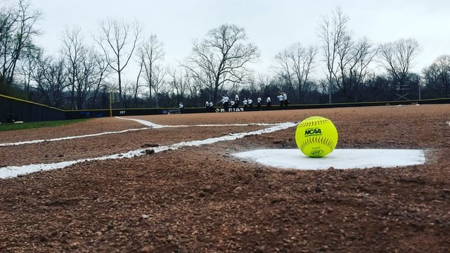Panther Softball Field 6