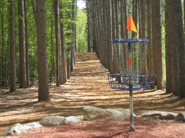 Blue Ribbon Pines 2