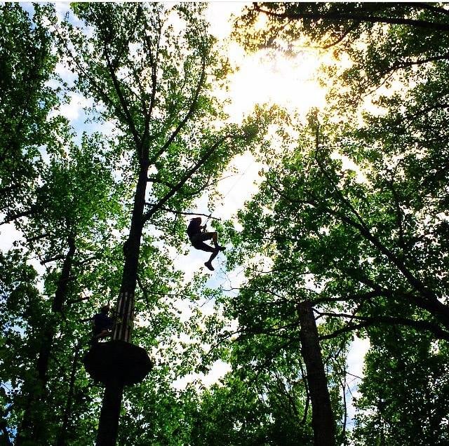 Go Ape Treetop Adventure Course9