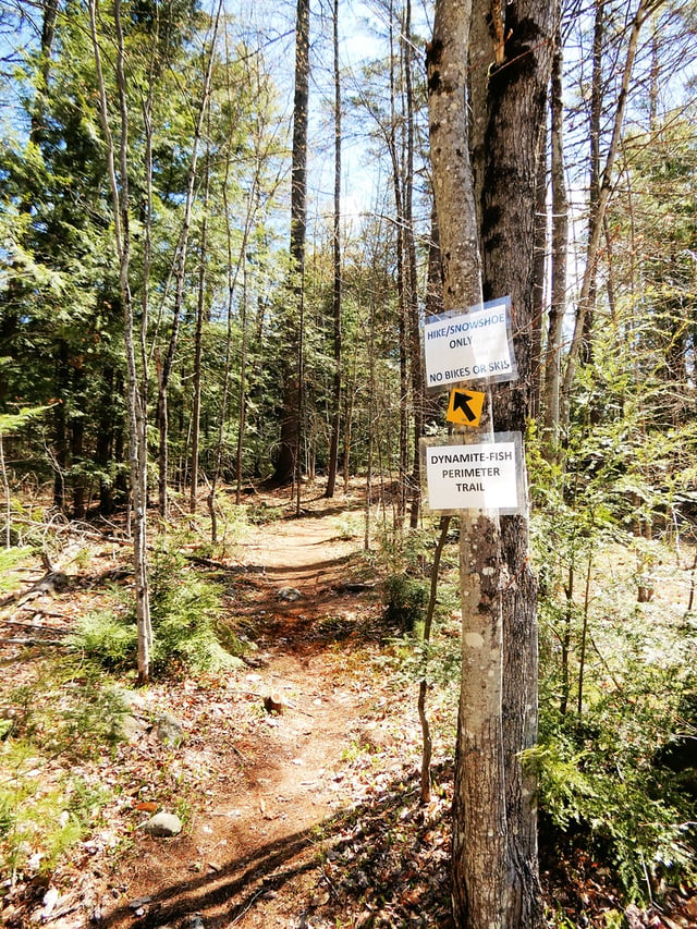Caroline Fish Memorial Trails 3