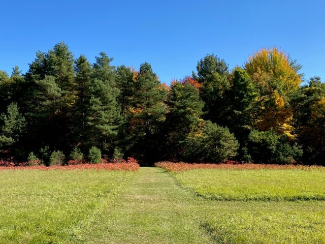 member_info_417-woodsong_county_park_pic_1_ks_2020_1602525671