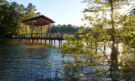 200610_South Toledo Bend State Park_062.jpg