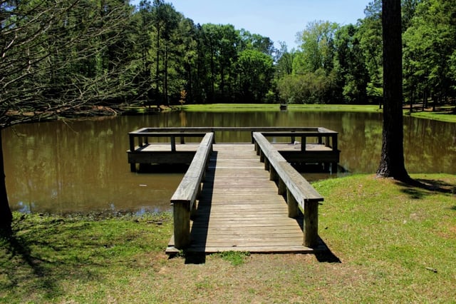forest park.jpg