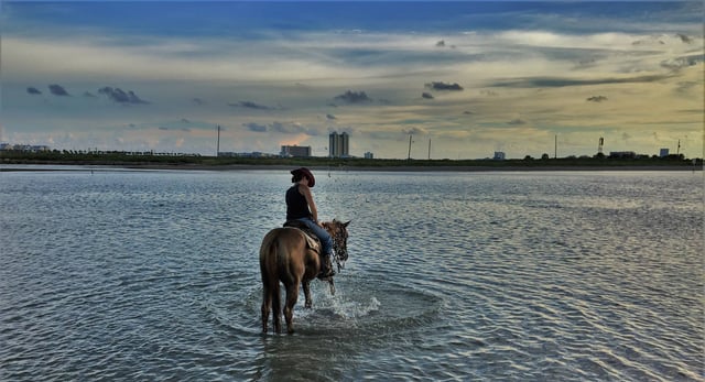 Galveston Horse and Pony Rides3