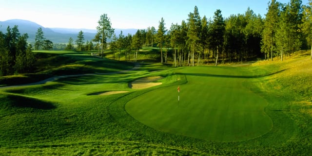 Four Oaks 4