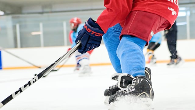 Baierl Ice Complex7
