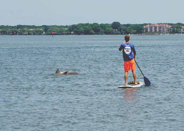 Sea Monkeys Watersports