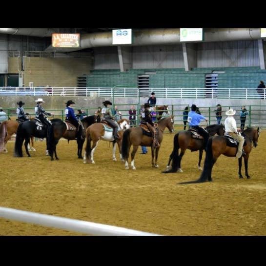 Salt Lake County Equestrian Center equestrian