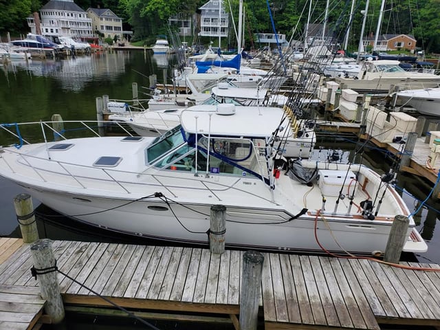 Bending Limits Sportfishing Charters2