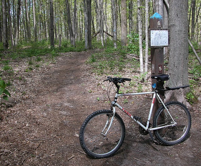 Lake Ann Pathway3