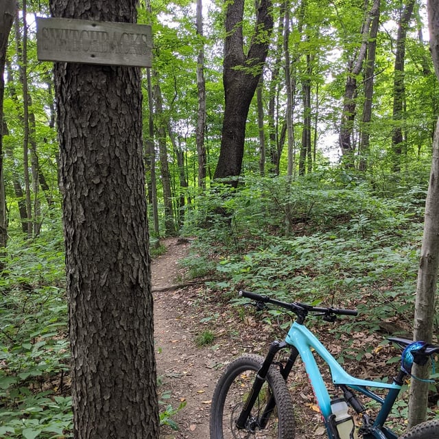 Sacred Rides Michaux