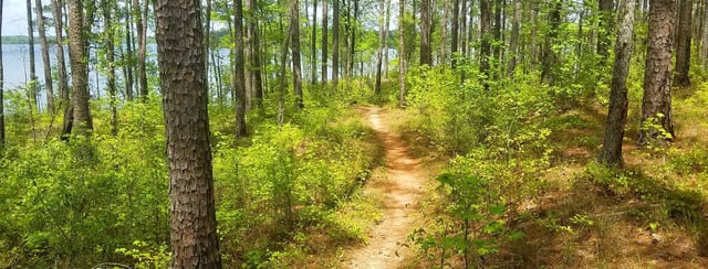 Lakeside Trails
