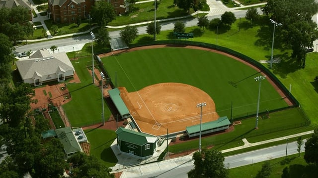 Patricia Wilson Field