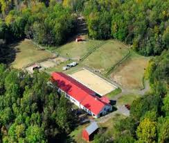 Little Cove Farm from above
