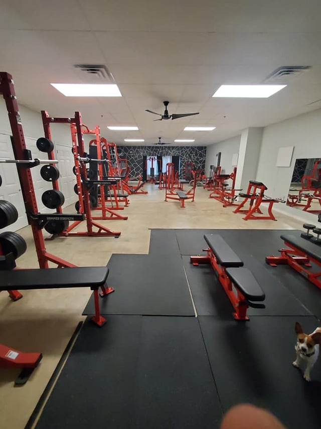Paradigm Gym 2