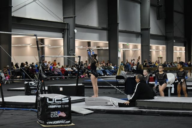 Indoor Gymnastics