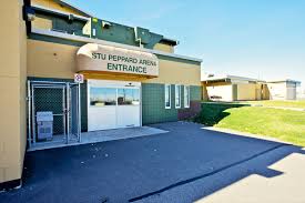 stu peppard arena.jpeg