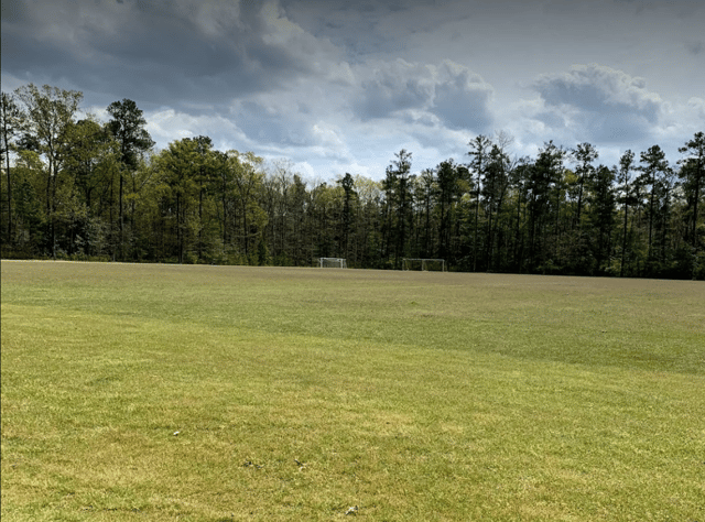 Harry field