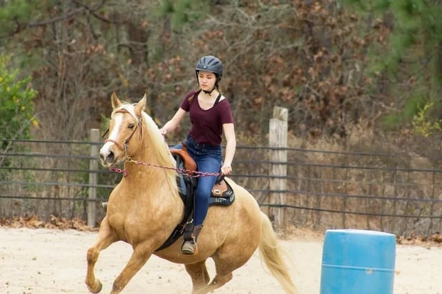 Almost Heaven Stables4