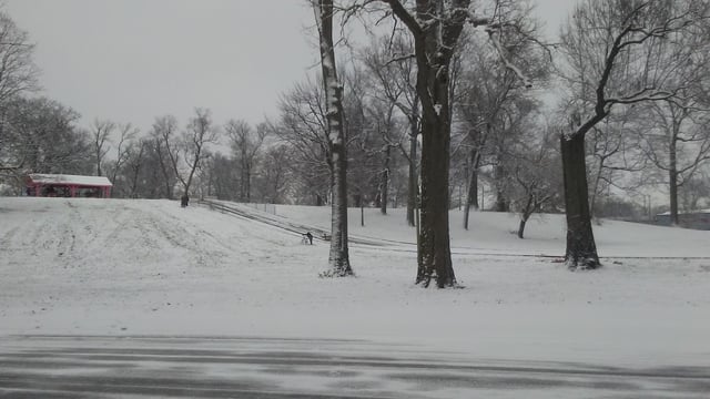 McCulloch Park11