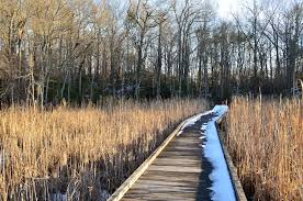 Kings Landing boardwalk