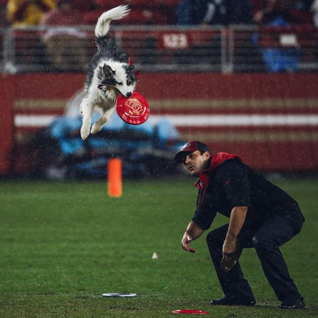 Levi's Stadium 3