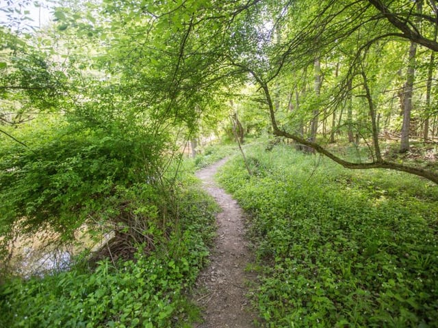 Hawthorn Pond Natural Area7